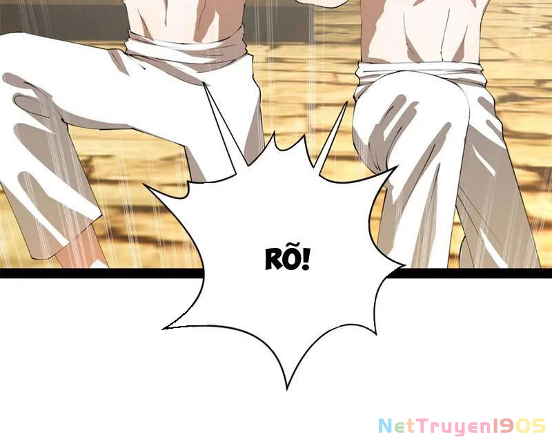 Chàng Rể Mạnh Nhất Lịch Sử Chapter 326 - 82