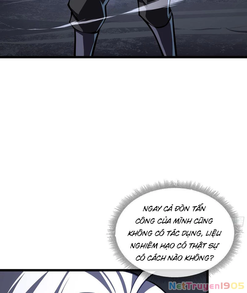 Tai Ách Giáng Lâm: Ta Tiến Hóa Thành Tinh Hồng Chi Vương Chapter 5 - 37