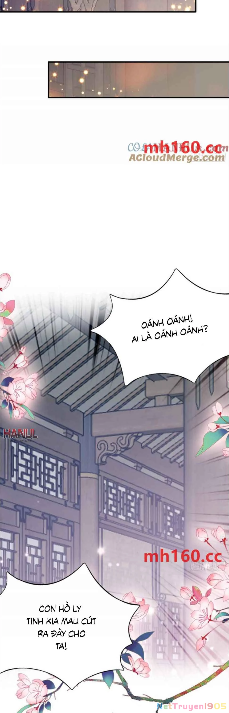 Bổn Vương Muốn Ngươi Chapter 206 - 17