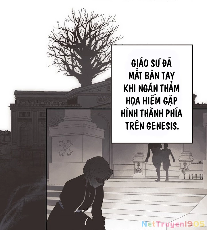 Thủy Tổ Pháp Sư Chapter 21 - 47