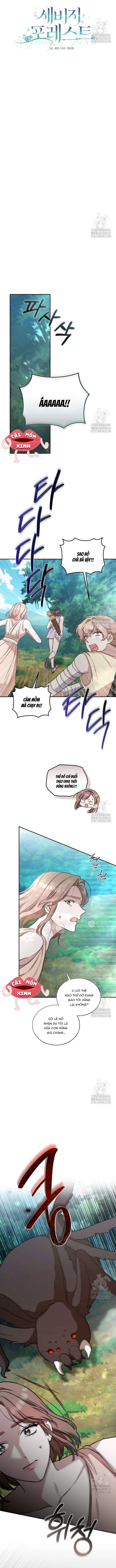 Khu Rừng Hoang Dã Chapter 39 - 3