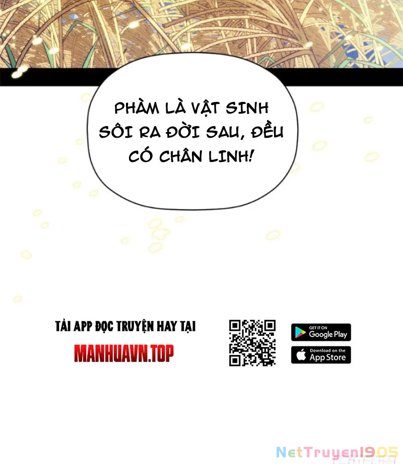 Đỉnh Cấp Khí Vận, Lặng Lẽ Tu Luyện Ngàn Năm Chapter 230 - 50