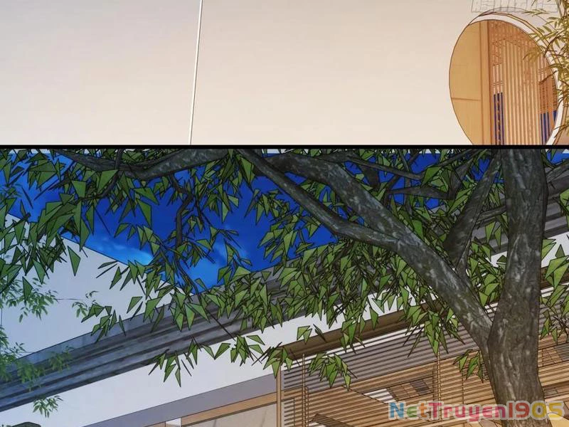 Trọng Sinh Không Làm Chạn Vương, Tôi Một Mình Nạp Game Thăng Cấp Chapter 260 - 30