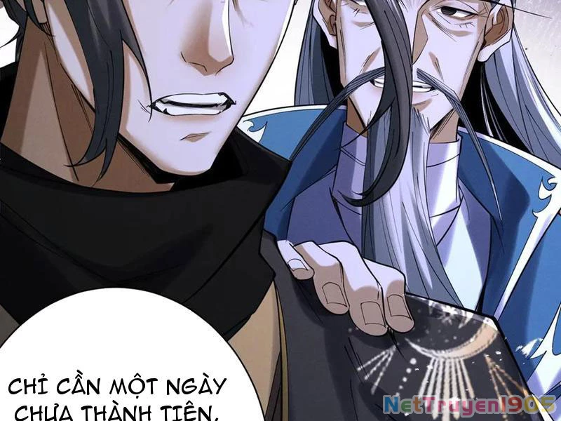 Gặp Mạnh Thì Mạnh, Ta Tu Vi Vô Thượng Hạn Chapter 72 - 84