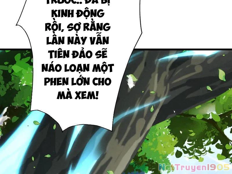 Gặp Mạnh Thì Mạnh, Ta Tu Vi Vô Thượng Hạn Chapter 72 - 105