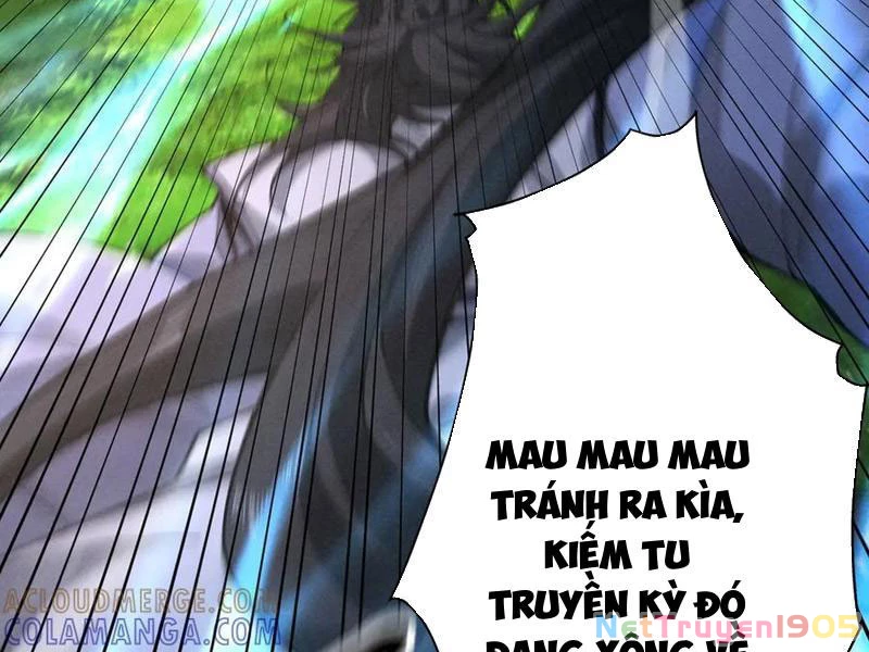 Gặp Mạnh Thì Mạnh, Ta Tu Vi Vô Thượng Hạn Chapter 72 - 132
