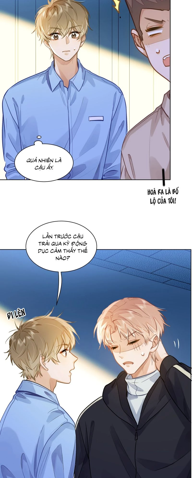 Tôi Thích Pheromone Của Cậu Chapter 81 - 25