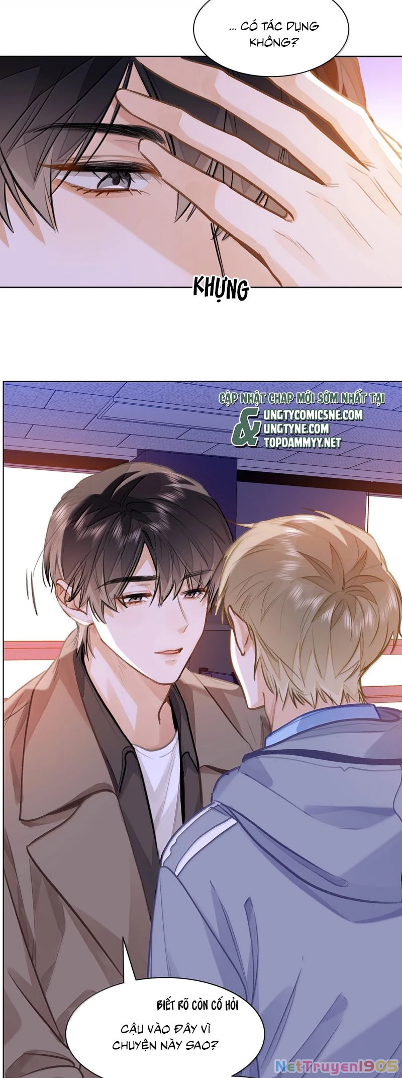 Tôi Thích Pheromone Của Cậu Chapter 83 - 8