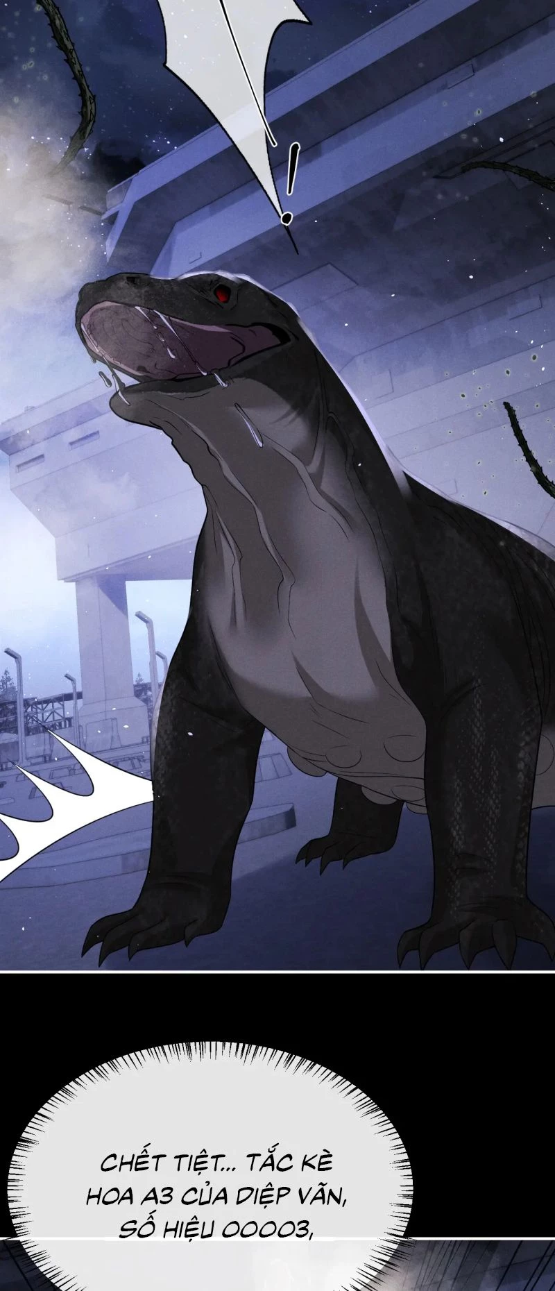 Chấp Sự Thỏ Cụp Tai Chapter 174 - 3