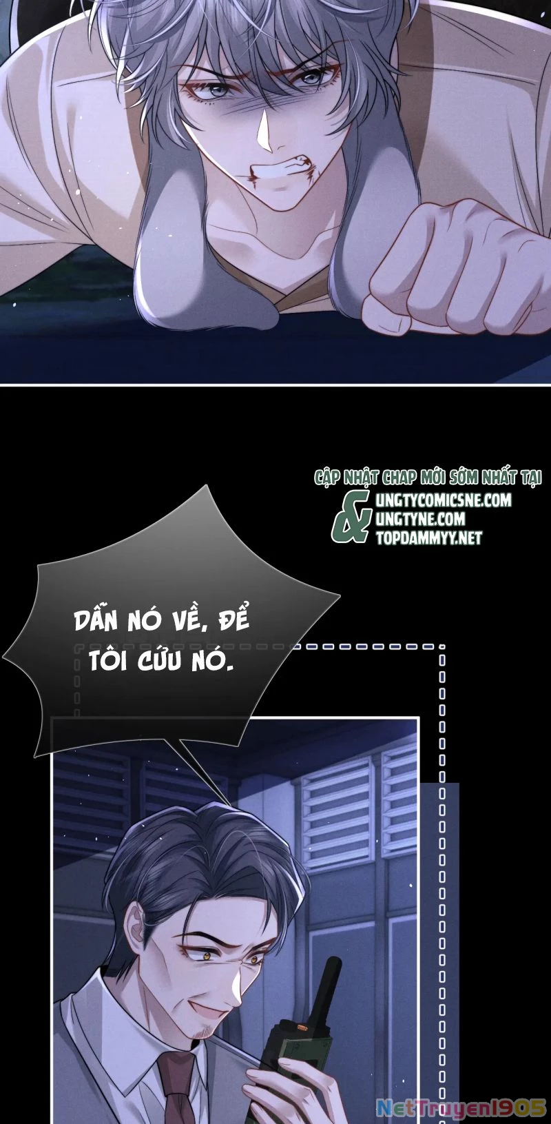 Chấp Sự Thỏ Cụp Tai Chapter 175 - 10