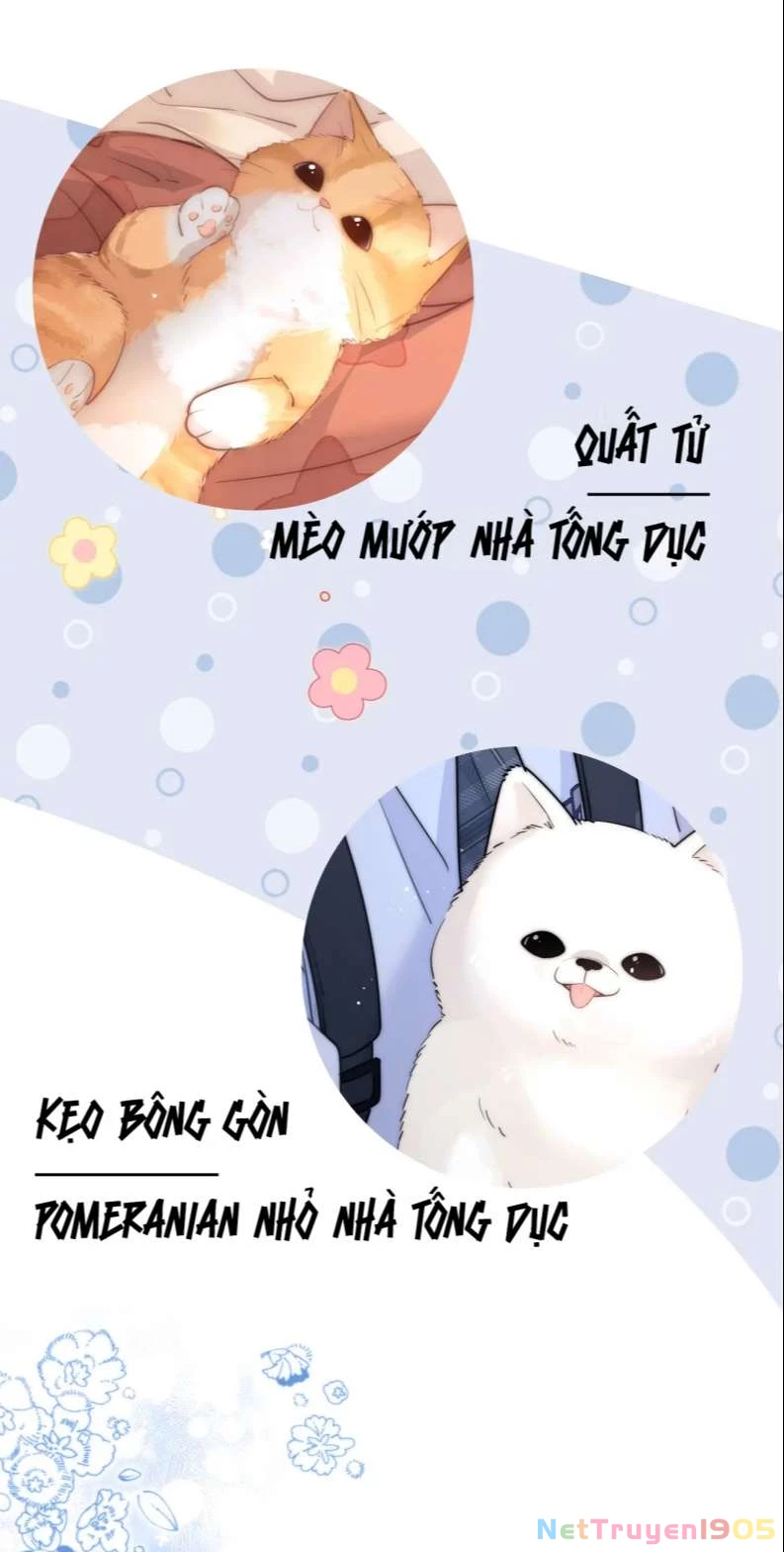 Chất Dị Ứng Đáng Yêu Chapter 0 - 8