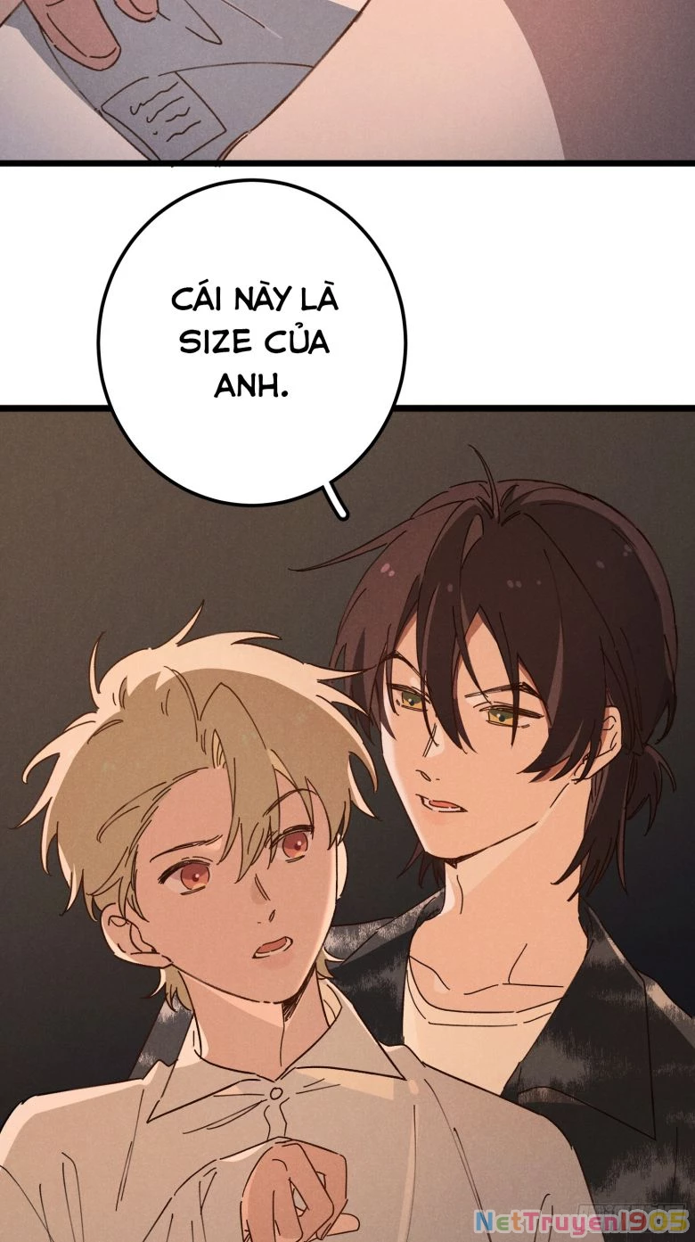 Tôi Không Cùng Anh Đến Vùng Đất Bắp Ngô Đâu! Chapter 0 - 4