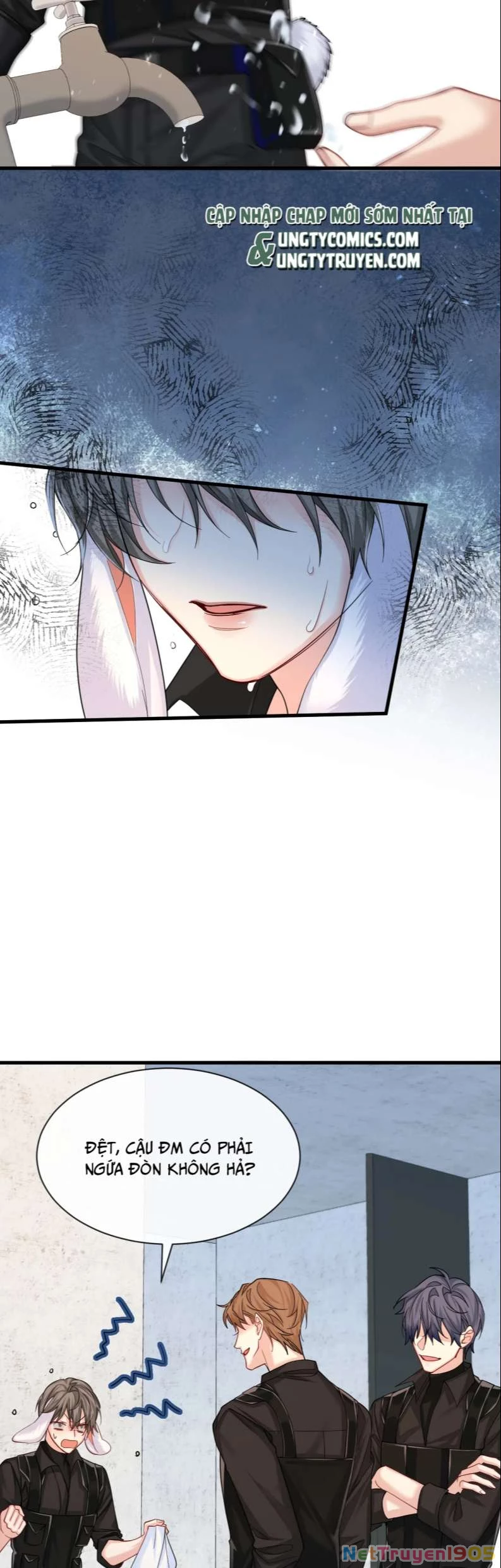 Nhân Ngư Rơi Xuống Chapter 46 - 12