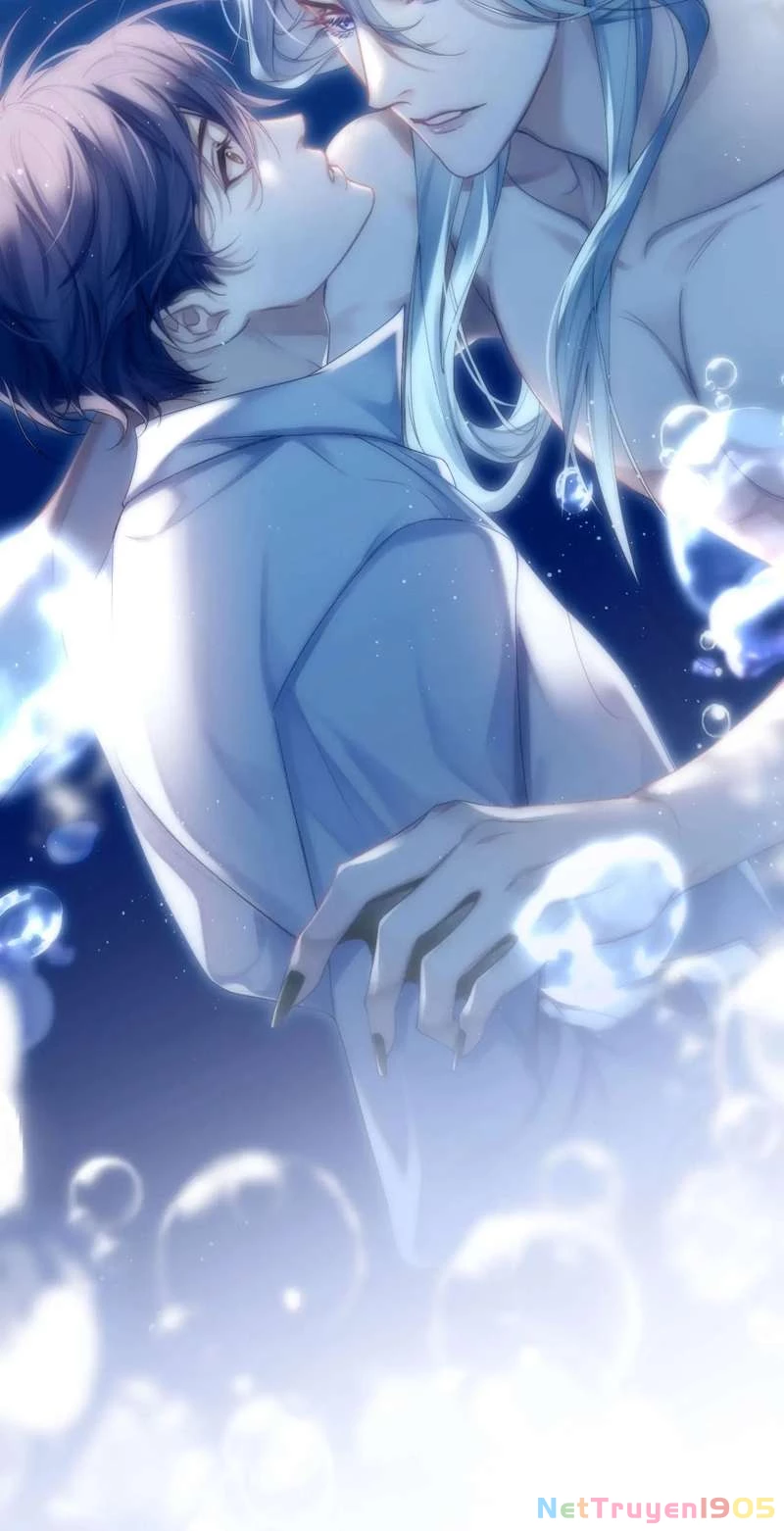 Desharow Nhân Ngư Chapter 1 - 9