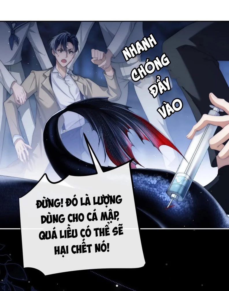 Desharow Nhân Ngư Chapter 2 - 8