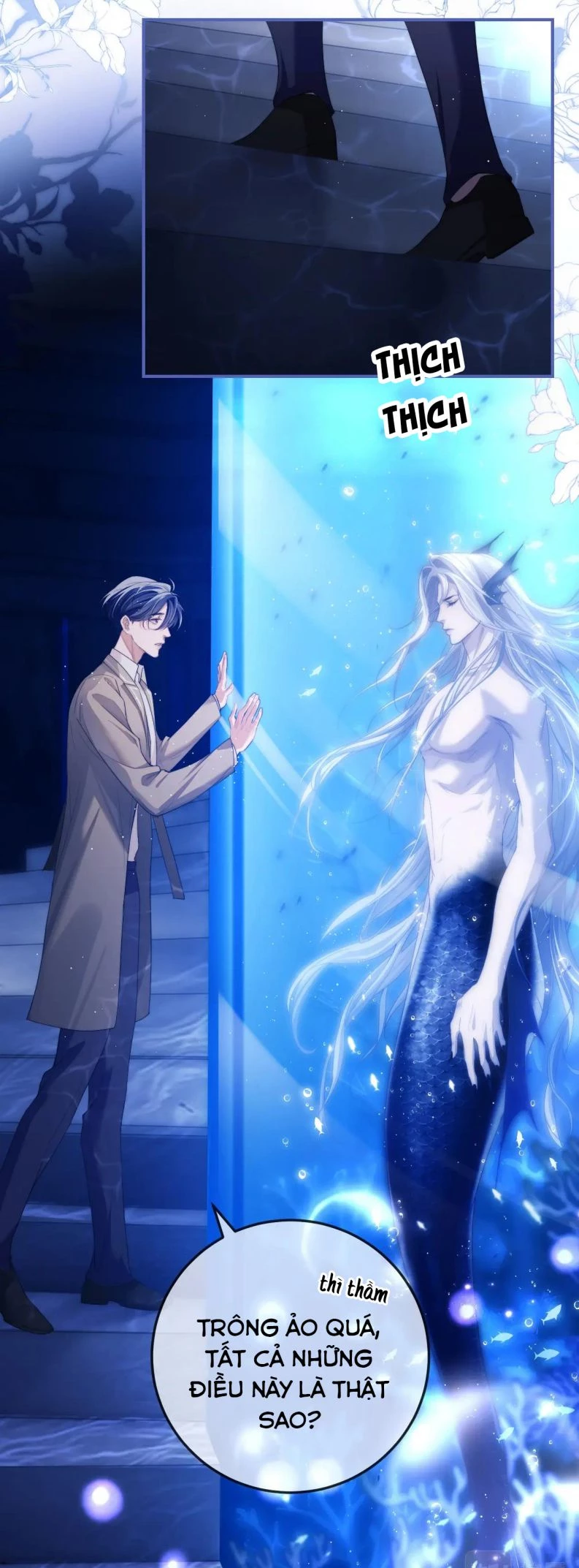 Desharow Nhân Ngư Chapter 2 - 33