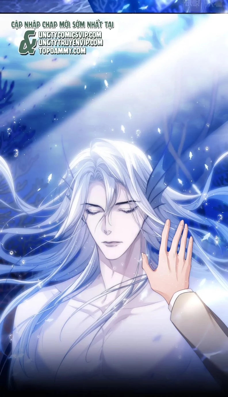 Desharow Nhân Ngư Chapter 2 - 34