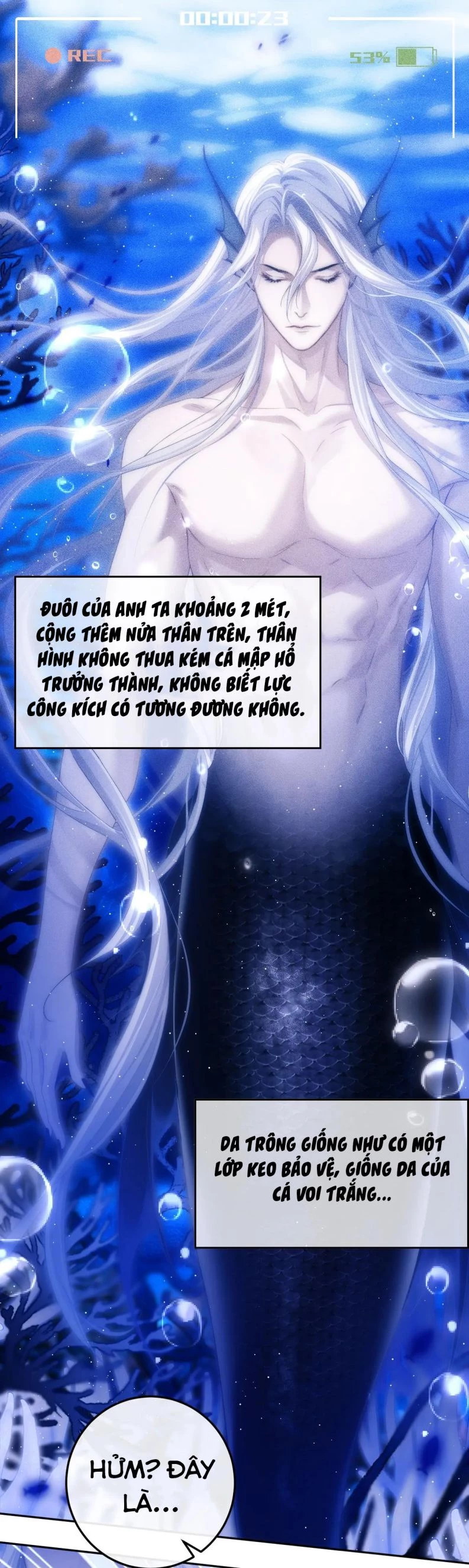 Desharow Nhân Ngư Chapter 2 - 39