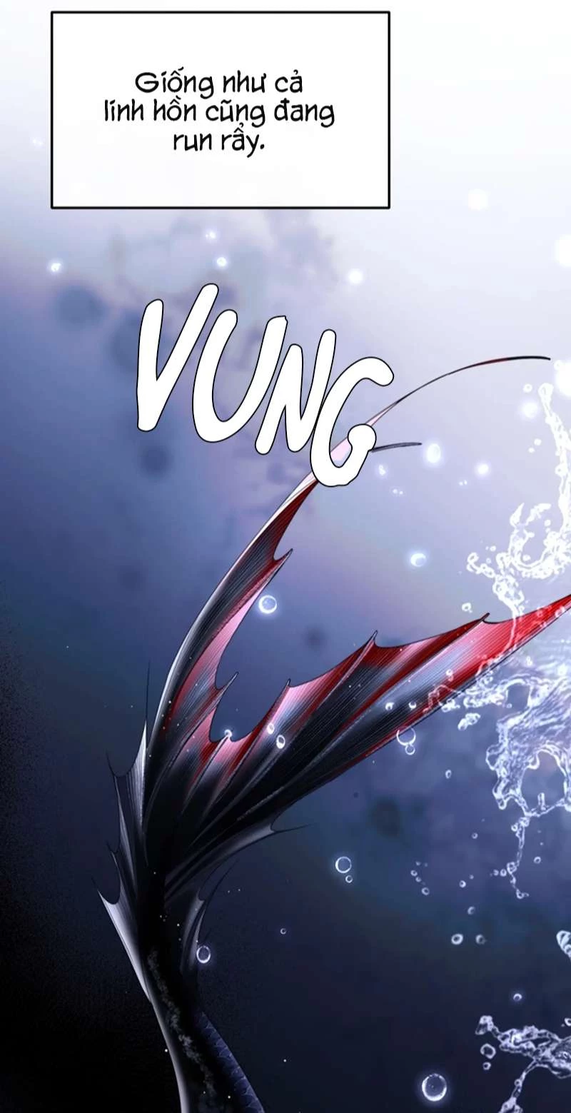 Desharow Nhân Ngư Chapter 3 - 11