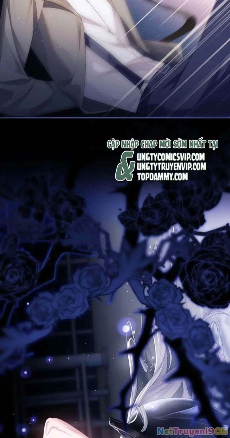 Desharow Nhân Ngư Chapter 3 - 13