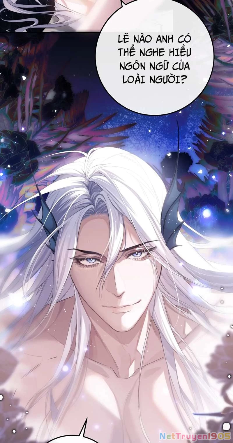 Desharow Nhân Ngư Chapter 3 - 19