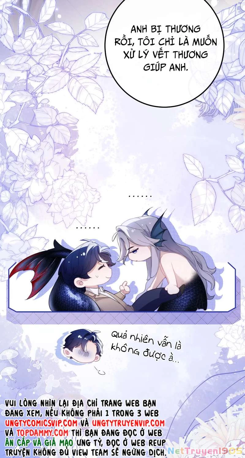 Desharow Nhân Ngư Chapter 3 - 22