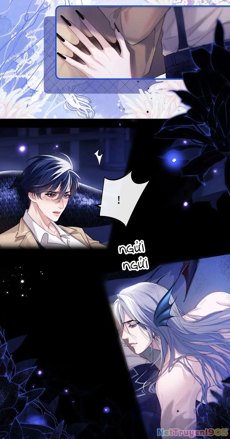 Desharow Nhân Ngư Chapter 3 - 23