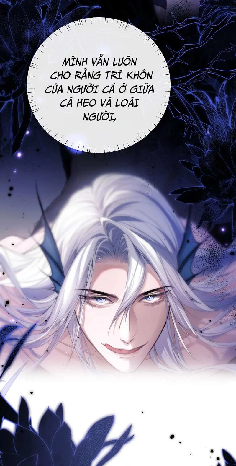 Desharow Nhân Ngư Chapter 3 - 24