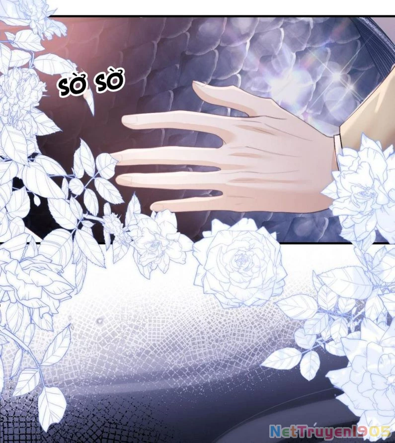 Desharow Nhân Ngư Chapter 4 - 19