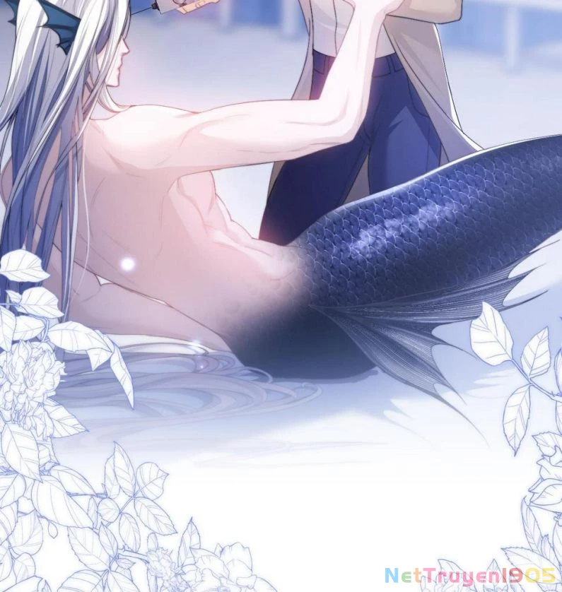 Desharow Nhân Ngư Chapter 4 - 23