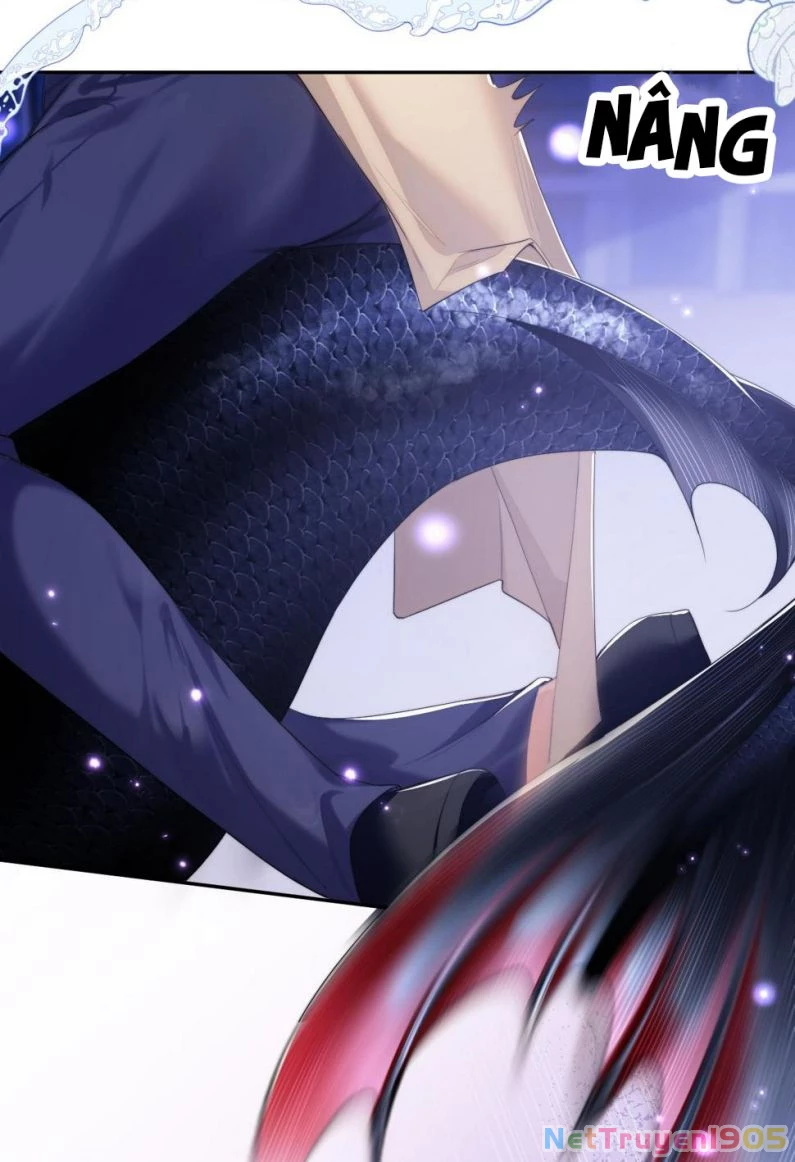 Desharow Nhân Ngư Chapter 4 - 30