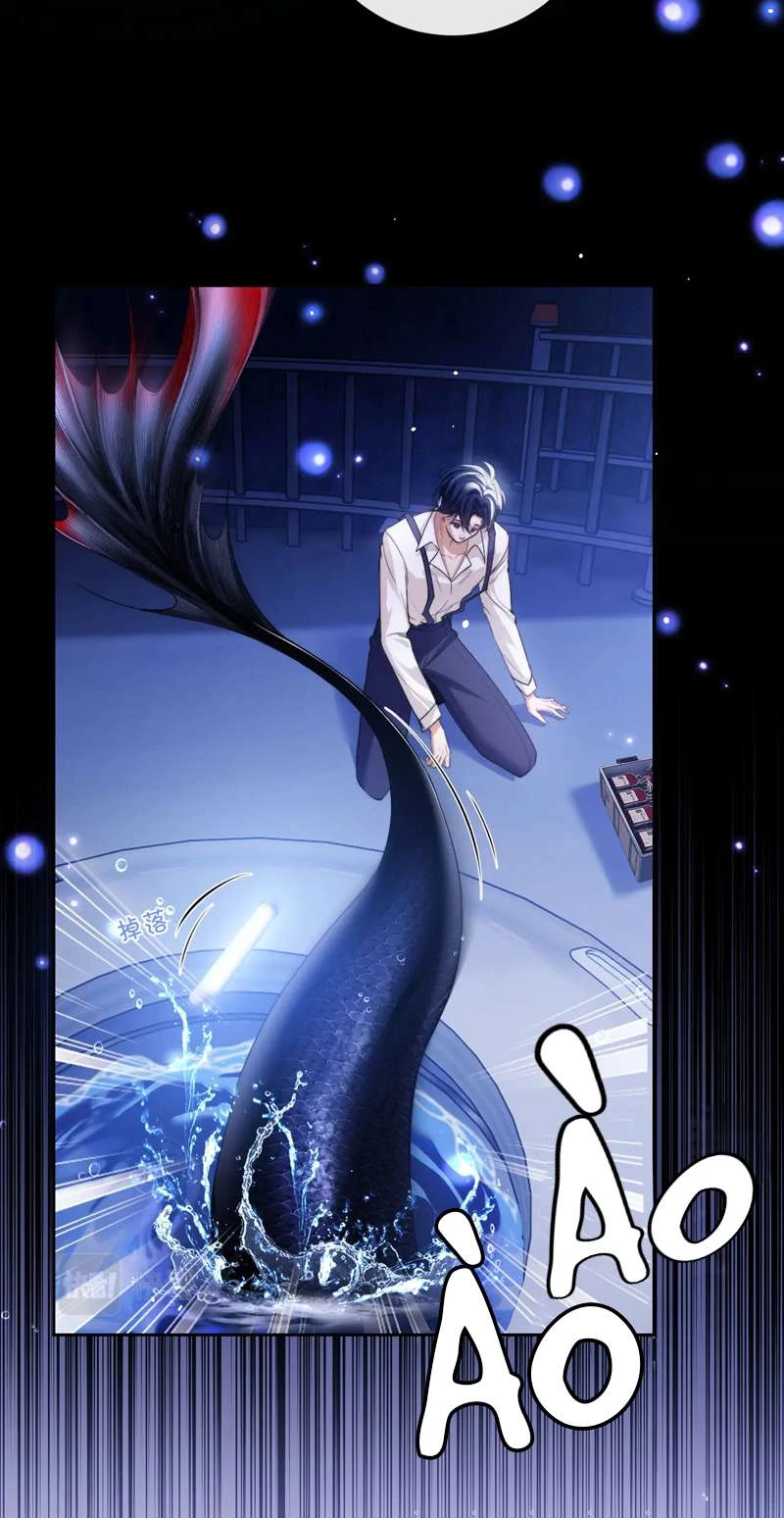 Desharow Nhân Ngư Chapter 5 - 7