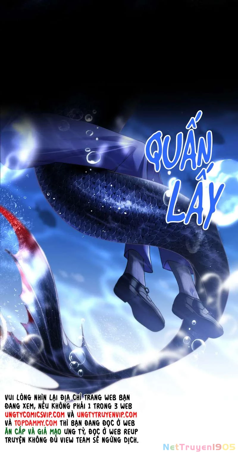 Desharow Nhân Ngư Chapter 5 - 24