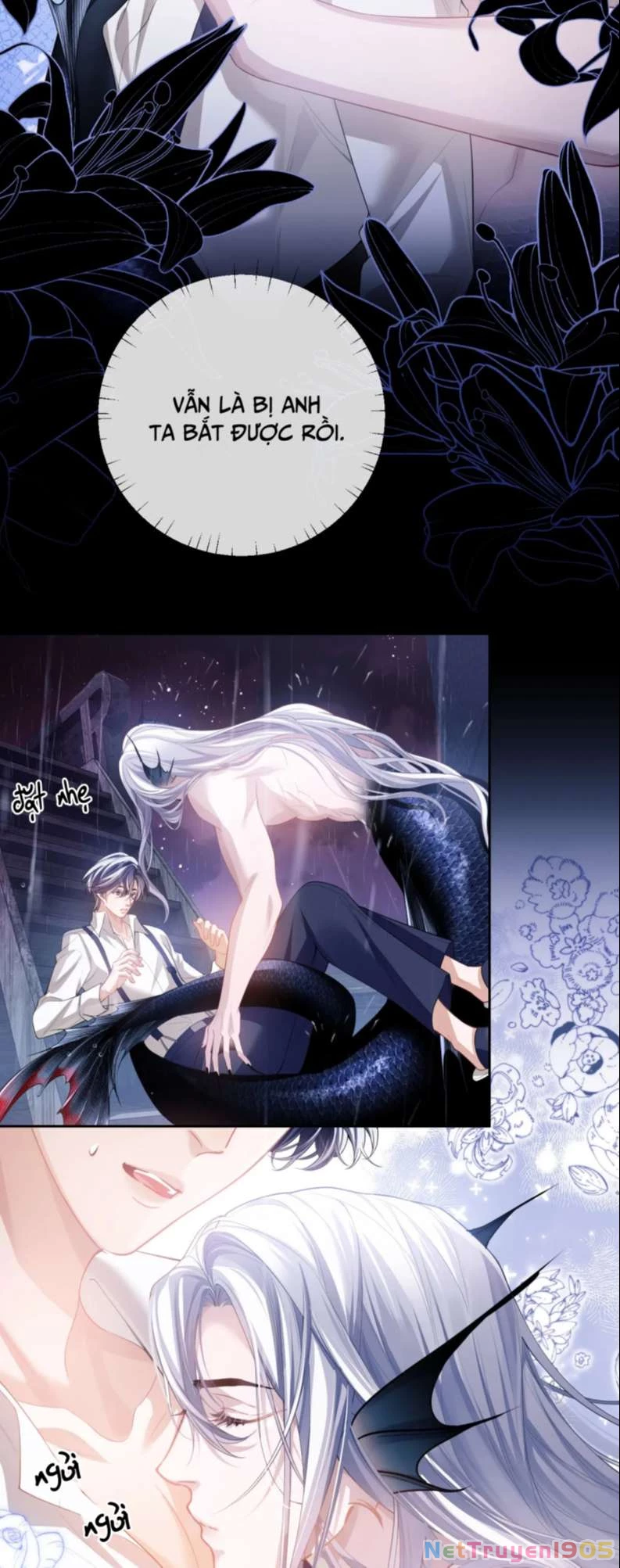 Desharow Nhân Ngư Chapter 6 - 31