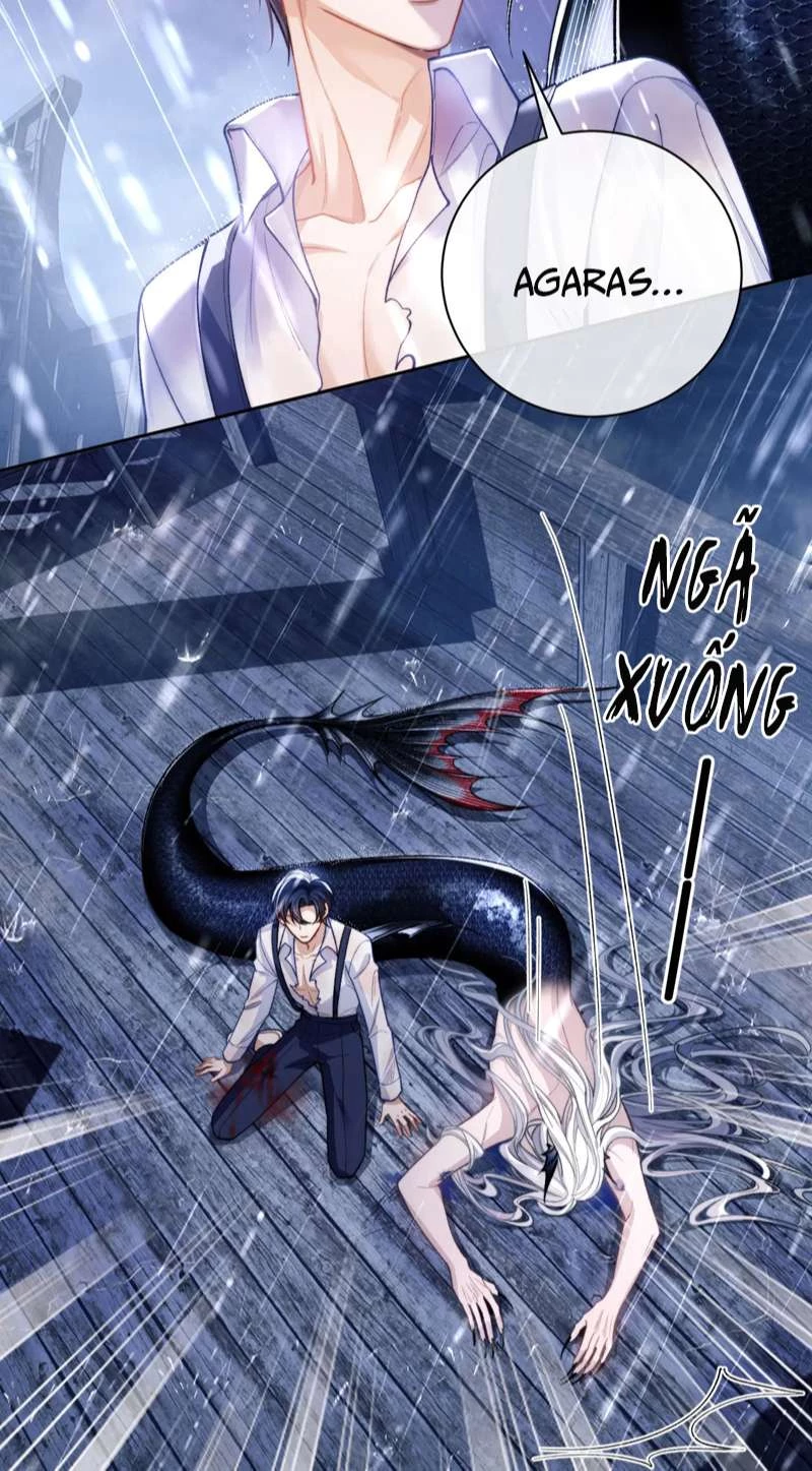 Desharow Nhân Ngư Chapter 8 - 8