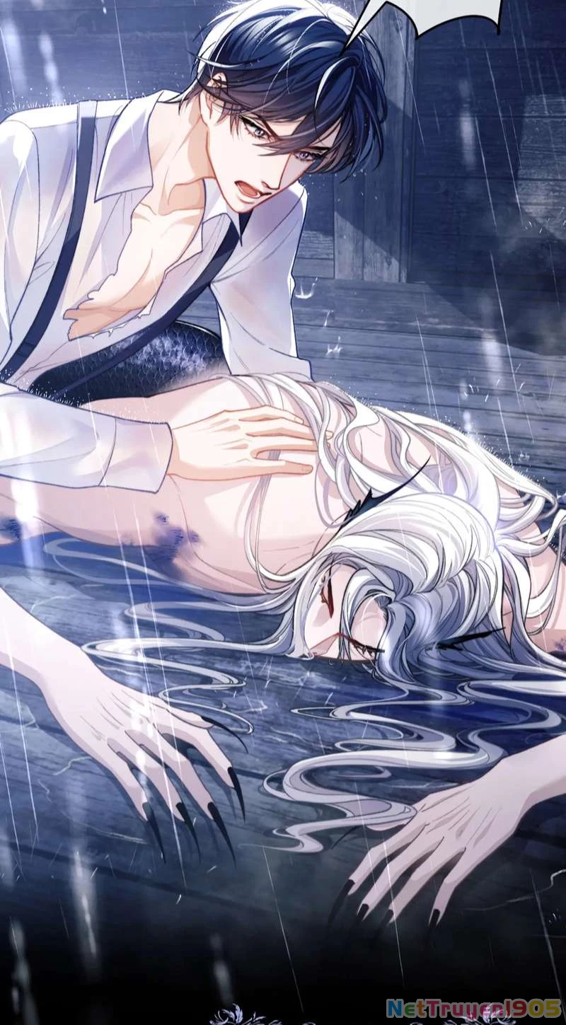 Desharow Nhân Ngư Chapter 8 - 10