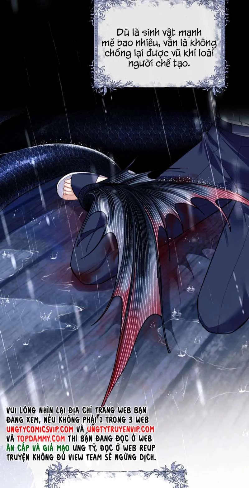 Desharow Nhân Ngư Chapter 8 - 11