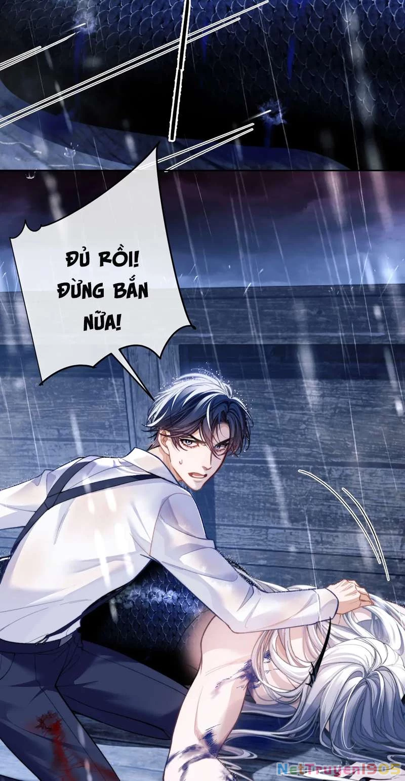 Desharow Nhân Ngư Chapter 8 - 13