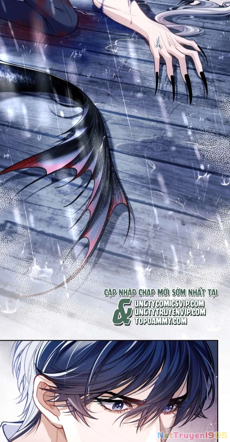 Desharow Nhân Ngư Chapter 8 - 14