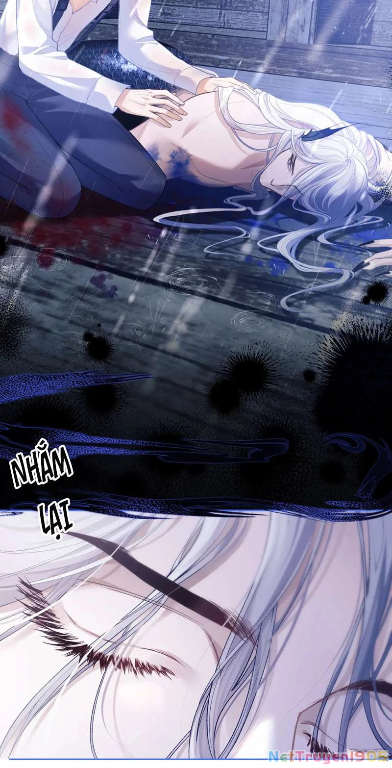 Desharow Nhân Ngư Chapter 8 - 18