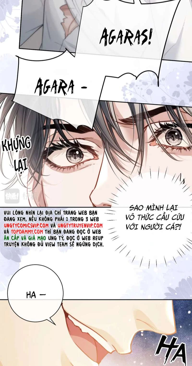 Desharow Nhân Ngư Chapter 8 - 34