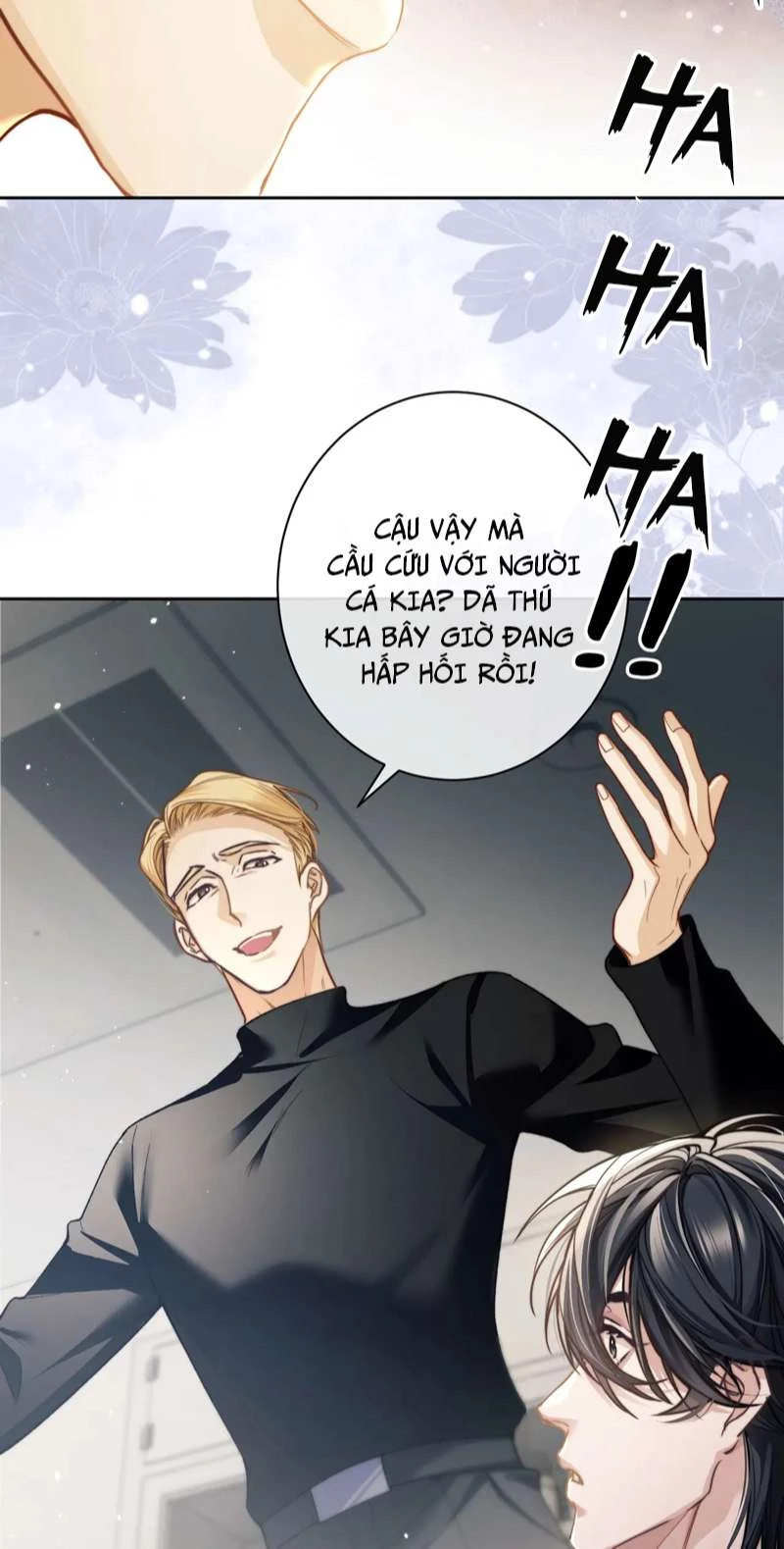 Desharow Nhân Ngư Chapter 8 - 35