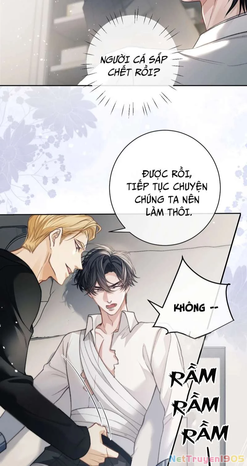 Desharow Nhân Ngư Chapter 8 - 36