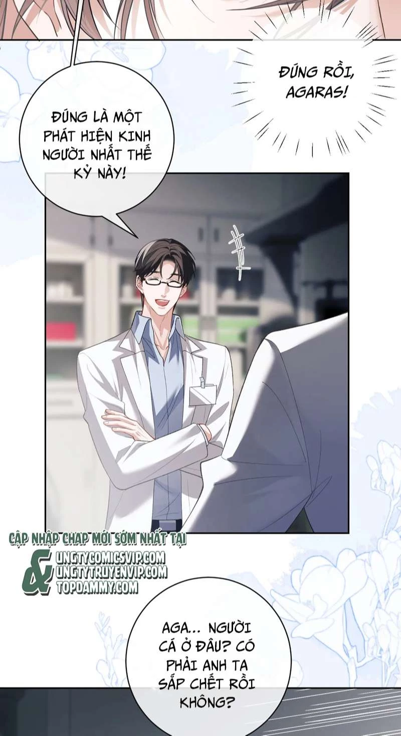 Desharow Nhân Ngư Chapter 9 - 12