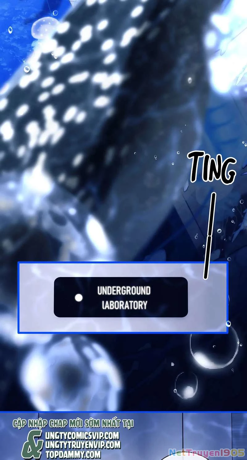 Desharow Nhân Ngư Chapter 9 - 18