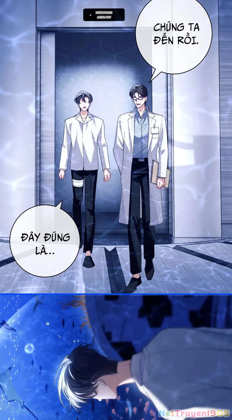 Desharow Nhân Ngư Chapter 9 - 19