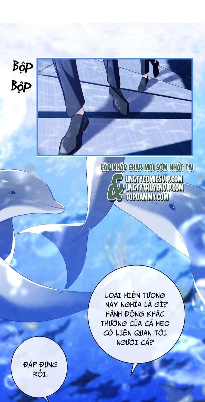 Desharow Nhân Ngư Chapter 9 - 29