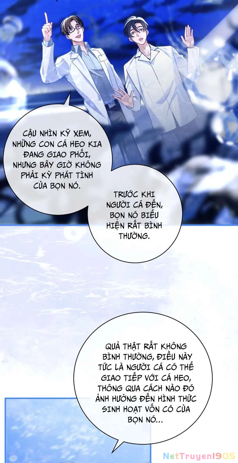 Desharow Nhân Ngư Chapter 9 - 30