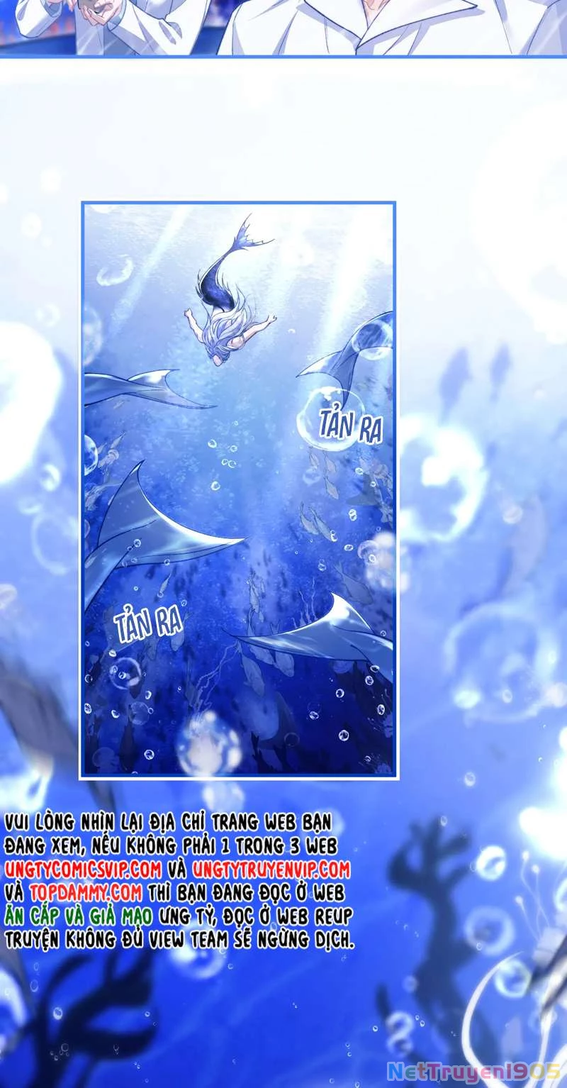 Desharow Nhân Ngư Chapter 9 - 33