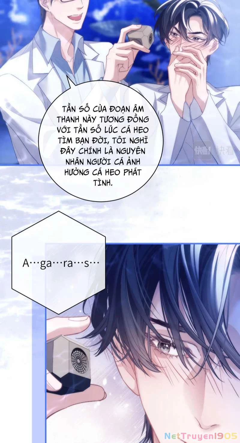 Desharow Nhân Ngư Chapter 9 - 37